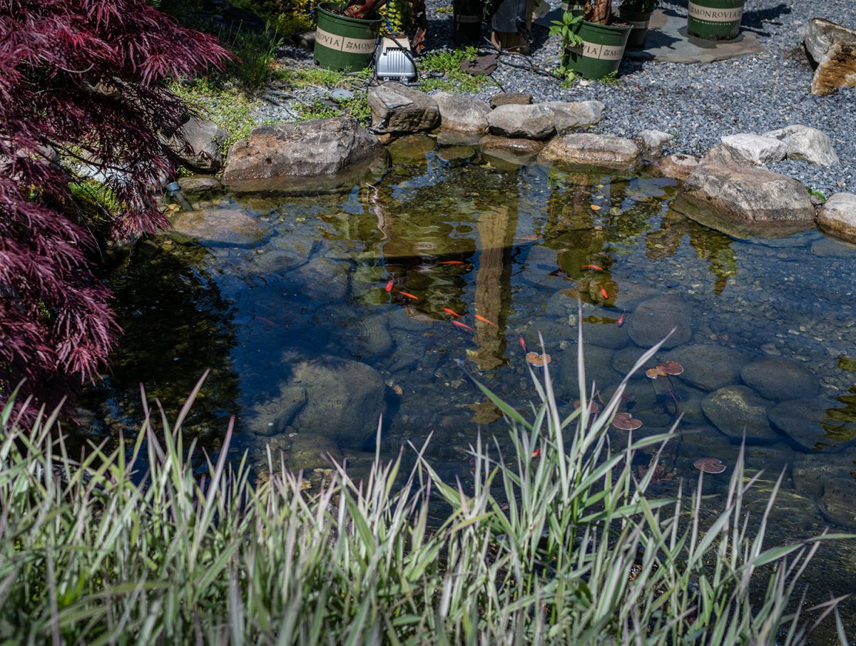 Pond & Pool Hoffman's Supply